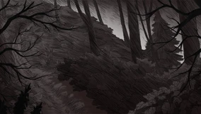 Path in the woods